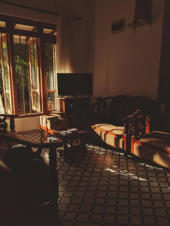 Warm evening sunlight falling across a calm, tidy living room with wood furniture.